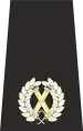 Metropolitan Police Commander epaulette