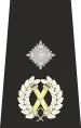 Metropolitan Police Deputy Assistant Commissioner of the Metropolis epaulette