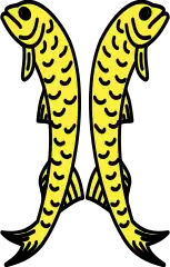 Barbos adorsado de oro