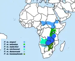 Distribución de las subespecies