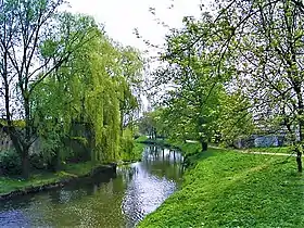 Río Krzna river