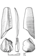 Resultado de la flexión del microburil: un microburil proximal y un ápice triédrico