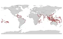 Distribución de Millepora.