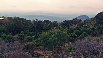 Bosques secos del Balsas, Apatzingán