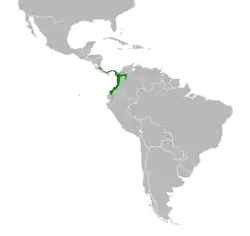 Distribución geográfica de la tangara carinegruzca.