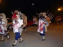 Carnaval de Alsasua