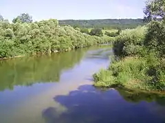 Vista del Ain cerca de Monnet-la-Ville (Jura)