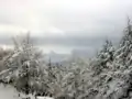 El Volturino desde los bosques de Pierfaone.