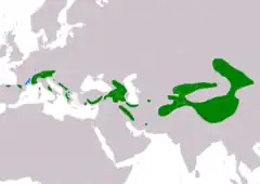 Distribución de Montifringilla nivalis