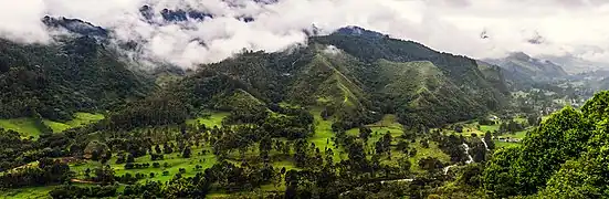 Se observa el valle de Cocora en momento de lluvia, en esta se aprecia el río Quindío, la captura fue hecha desde el mirador de salento.