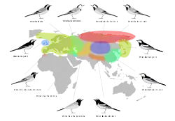 Distribución de las subespecies