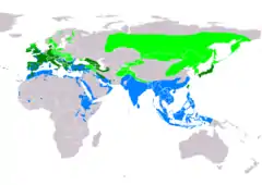 Distribución de Motacilla cinerea