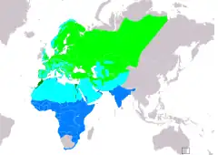 Distribución de Motacilla flava