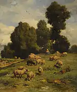 Moutons au pâturage