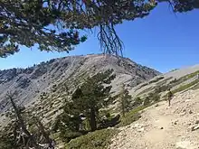 Mirando hacia el noroeste en Baldy Summit desde Baldy Bowl