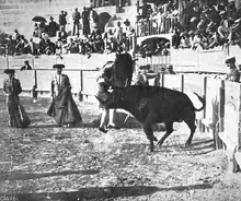 Cogida de Corchaíto tras ser embestido por el toro Distinguido