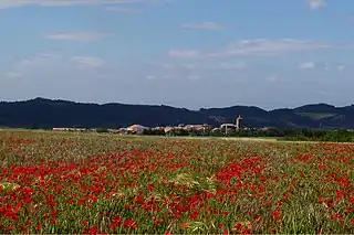 Muruzábal (Navarra).