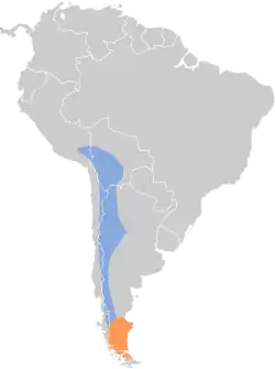 Distribución geográfica de la dormilona canela.