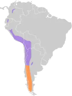 Distribución geográfica de la dormilona chica.