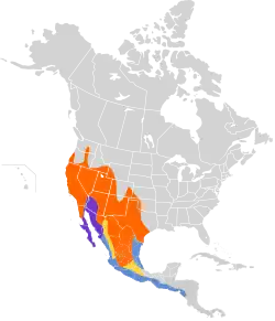 Distribución geográfica del copetón cenizo.