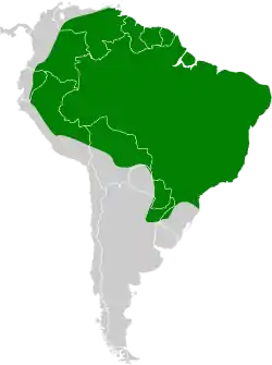 Distribución geográfica del copetón feroz.