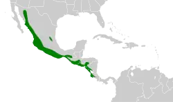 Distribución geográfica del copetón de Nutting.