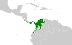 Distribución geográfica del copetón panameño.