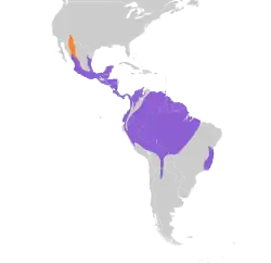 Distribución geográfica del copetón capirotado.