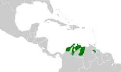 Distribución geográfica del copetón venezolano.