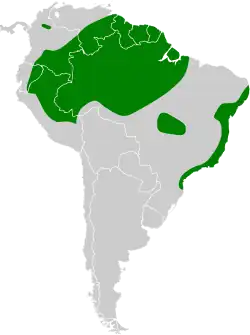 Distribución geográfica de la moscareta barbada.