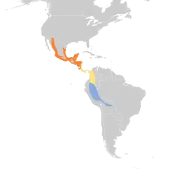 Distribución geográfica del bienteveo ventriazufrado.