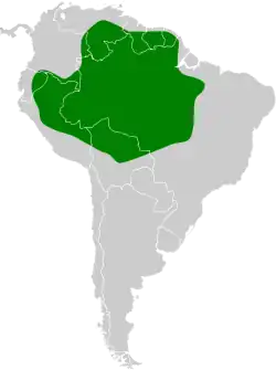 Distribución geográfica del fiofío gris amazónico.