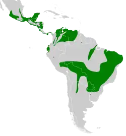 Distribución geográfica del fiofío verdoso.