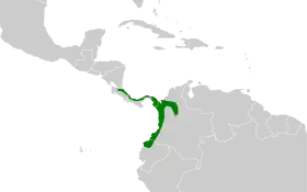 Distribución geográfica de la mosqueta capirotada.