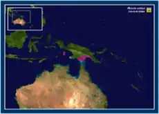 Mapa de distribución de Myoictis wallacii