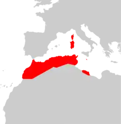 Distribución de Myotis punicus.