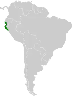 Distribución de Myrmia micrura