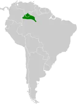 Distribución geográfica del hormiguerito gorgiamarillo.