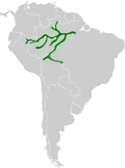 Distribución geográfica del hormiguerito plomizo.