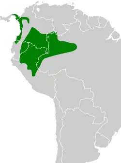 Distribución geográfica del hormiguerito de Griscom.