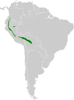 Distribución geográfica del hormiguerito pechilistado.