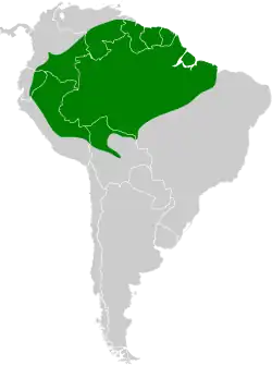 Distribución geográfica del hormiguerito gris.