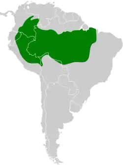 Distribución geográfica del hormiguerito amazónico.