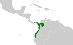 Distribución geográfica del hormiguerito del Pacífico.