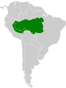 Distribución geográfica del hormiguerito de Sclater.