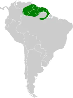 Distribución geográfica del hormiguerito de Surinam.