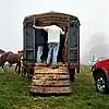 A rapa das bestas de Candaoso