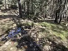 Nacimiento del río Gallo, en la Sierra del Tremedal.  Orihuela del Tremedal. Teruel. España.