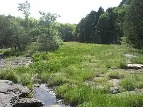 Pantano de filtración calcárea en la cuenca interior de Nashville, Tennessee