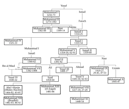 A large family tree of the Nasrid dynasty, including more than ten generations and more than twenty Sultans